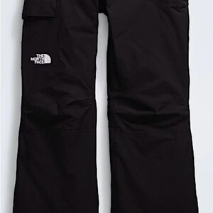 The North Face Black Insulated Freedom Snow Pants